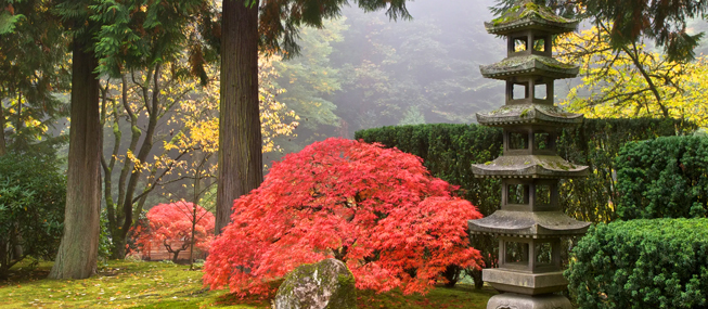 JAPANESE GARDEN