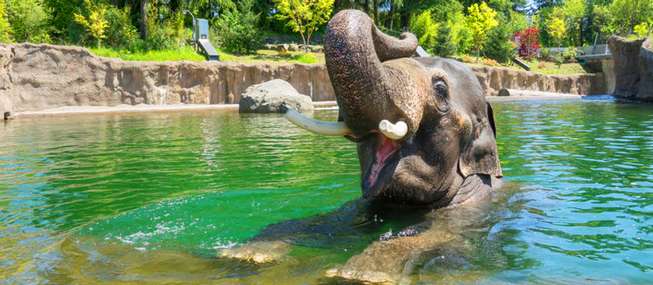 OREGON ZOO