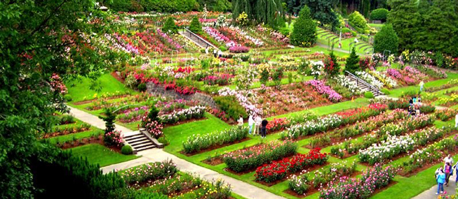 PORTLAND INTERNATIONAL ROSE TEST GARDEN