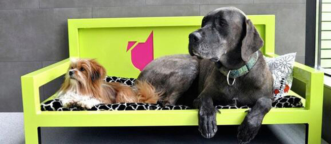 Dog Hotel